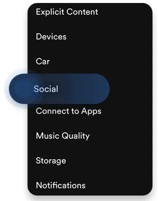 Spotify private session