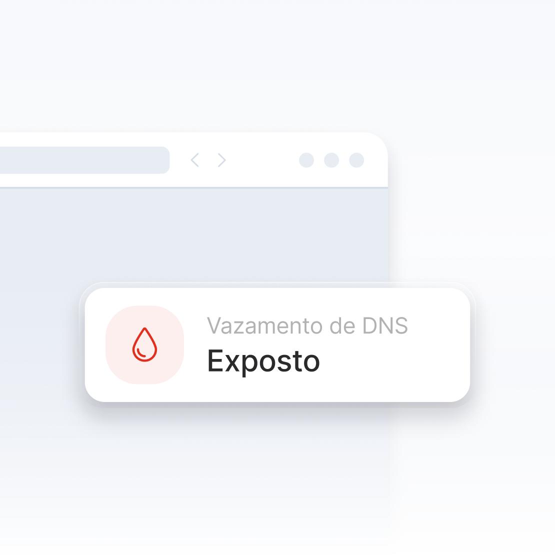Um fragmento de uma janela de navegador de Internet avisando sobre um vazamento de DNS.