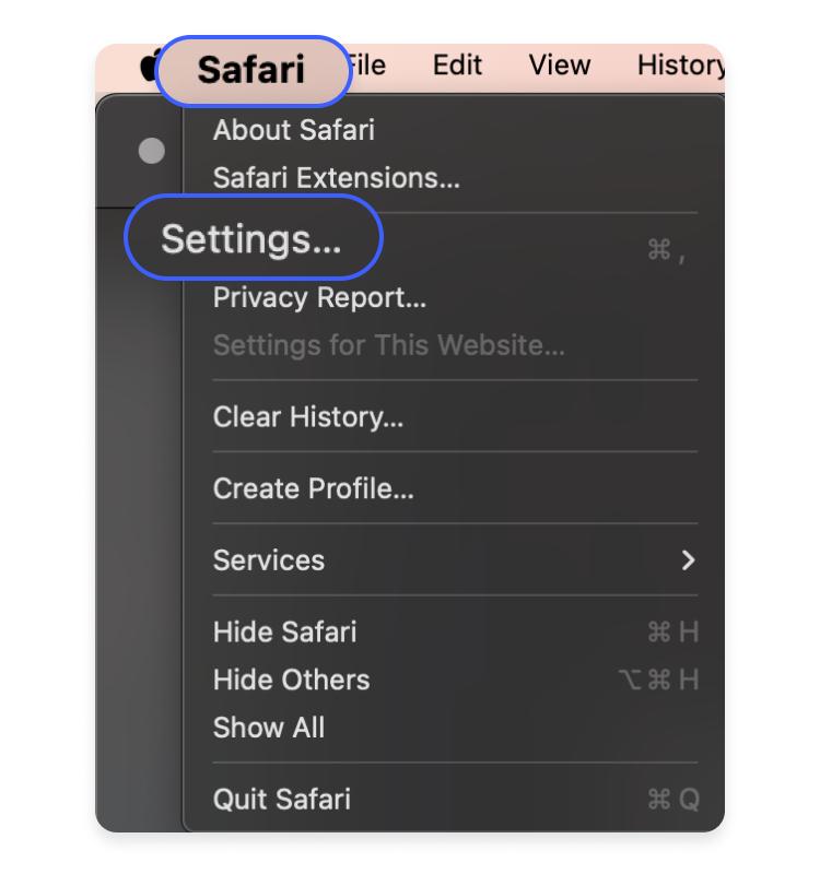 Safari1