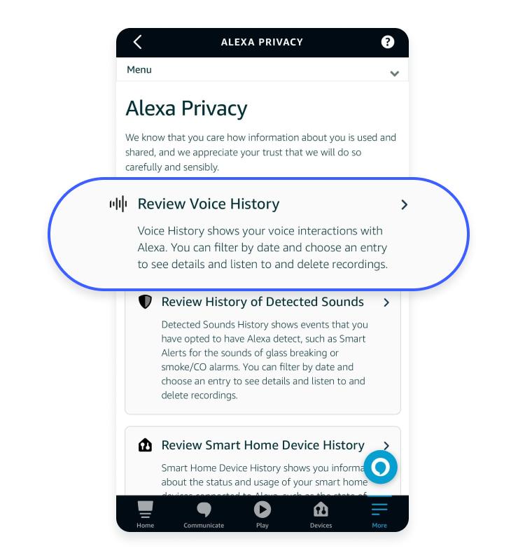 Alexa review voice history