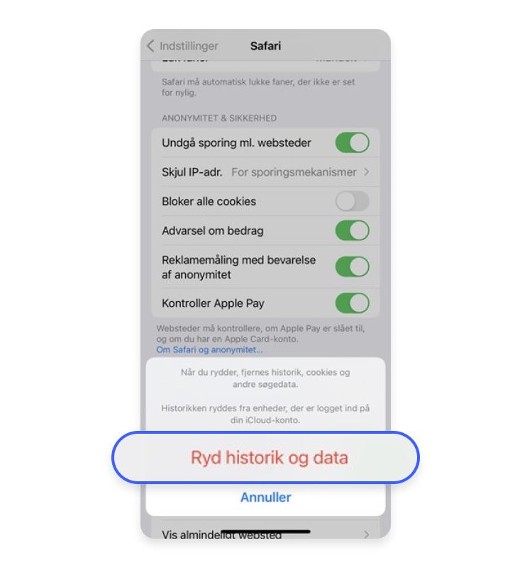 Ryd cache i iPhone: Bekræft dit valg ved at klikke på Ryd historik og data.