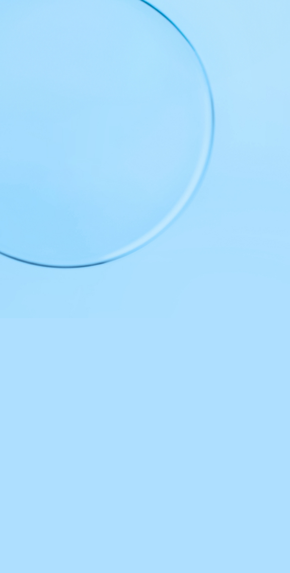 christmas 24 banner xs