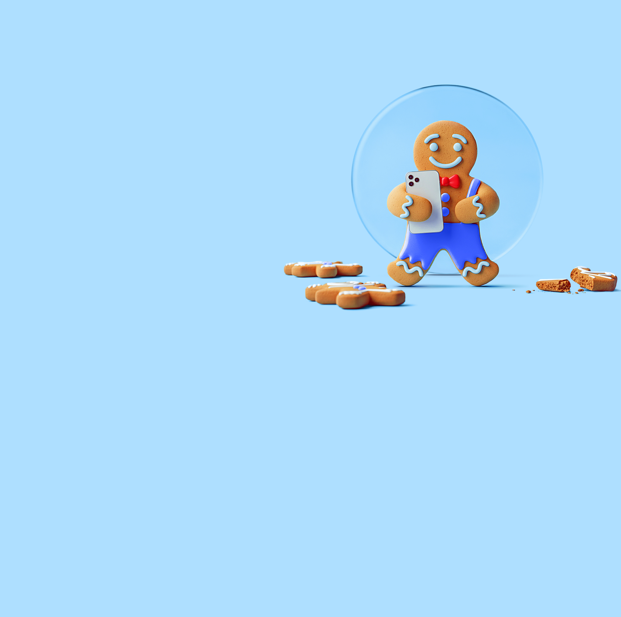 christmas 24 gingerbread md regular